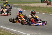 DSC_0045 (3)